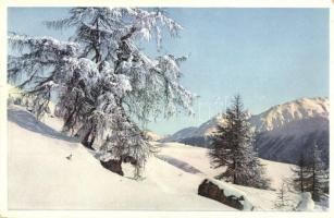 11 db RÉGI svájci városképes lap / 11 old Swiss town-view postcards