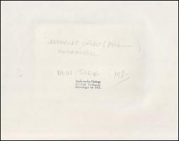 1983 Jankovszky György(1946-): New York, feliratozva, kartonra kasírozva, pecséttel jelzett, 15x10 c...