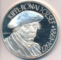 Tóth Sándor (1933-) / Szabó Géza (1939-) 1993. "MÉE XXIII. Vándorgyűlése Kaposvár / Rippl-Rónai...