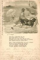 1899 Rooster-chicken love couple, humour, Fr. A. Ackermann Künstlerpostkarte No. 546. s: J. F. Engel (EK)