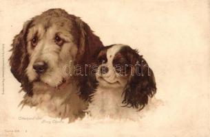 Otterhund und Prince Charlie / Dogs, Wezel & Naumann Serie 216. litho (fl)