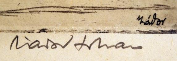 Zádor István (1882-1963): Szabadsághegy. Rézkarc, papír, jelzett, üvegezett keretben, 29x20 cm