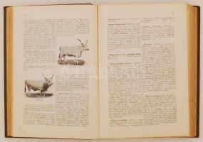 Bezerédj Adorján, Szilassy Zoltán (szerk.): Mezőgazdasági lexikon. A szöveg közé nyomtatott számos á...