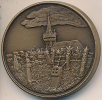 Bognár György (1944-) 1990. "Erdélyért - Pro Transilvania" Br piefort emlékérem (42,5mm) T...