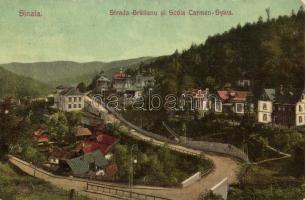 Sinaia, Strada Bratianu, Scola Carmen Sylva / street, school (fl)