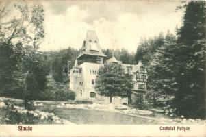 Sinaia, Castel Pelisor / castle (EK)