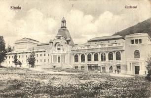 Sinaia, Cazinoul / casino