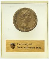 Római Birodalom / Róma / Hadrianus 132-134. Sestertius Br, a Newcastle-i Egyetem plasztik foglalatában T:2 Roman Empire / Rome / Hadrian 132-134. Sestertius Br "HADRIANVS AVGVSTVS / FELICITATI AVG - COS III P P - S-C" in the plastic holder of Newcastle University C:XF RIC II. 706