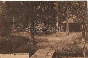 Rijsenburgse Bos, Zwitserse brug / forest, bridge (EK)