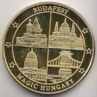 2011. "Budapest Sziget Fesztivál" aranyozott emlékérem (32mm) T:PP