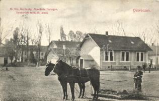 Debrecen, Magyar királyi Gazdasági Akadémia Pallagon, Gyakorlati tanszéki iroda (EK)