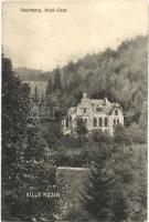 Kaumberg, Villa Rosin