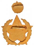 1969. "A Gépipar Kiváló Dolgozója" aranyozott, zománcozott kitüntetés miniatűrrel tokban, ...