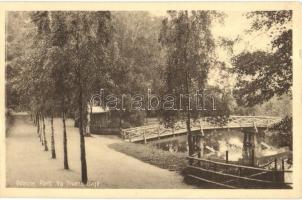 Odense, Fruens Boge / bridge