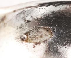 2 db ezüst(Ag) fűszeres kanál, jelzett, 15,8 g