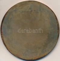 DN "Veszprémi Szénbányák" Br emlékplakett dísztokban. Szign.:LK (90mm) T:2,2-