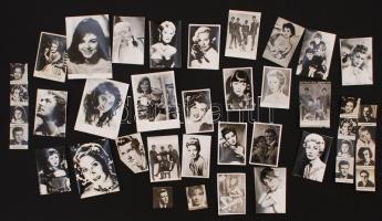 Vegyes, színész, zenész fotók, elsősorban külföldi, de található benne néhány magyar is  kb. 25db, különböző méretben: Sophia Loren, Elisabth Taylor, Martin Carol, Kim Novak, Beatles, Bujtor István stb.