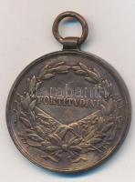 1917. Bronz Vitézségi Érem "IV. Károly / Fortitudini" mellszalag nélkül. Szign: Kautsch T:...