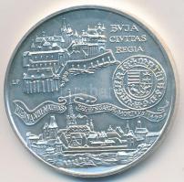 1990. 500Ft Ag "Mátyás király / Buda látképe" T:BU
Adamo EM113