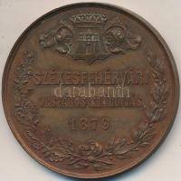 1879. "Székesfehérvári Országos Kiállítás" fém emlékérem (50mm) T:3
