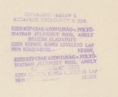 cca 1925 Kerny István (1879-1963): Banga szélmalma Szentesen, pecséttel jelzett vintage fotóművészet...