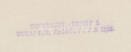 cca 1925 Kerny István (1879-1963): Vasúti sorompó félárbócon, pecséttel jelzett vintage fotóművészet...