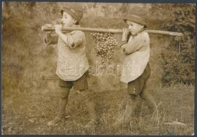 cca 1925 Kerny István (1879-1963): Ceglédberceli szüret, pecséttel jelzett vintage fotóművészeti alkotás, 16x22,5 cm