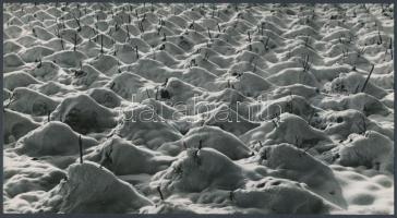 cca 1960 Dezső Pál (Kecskemét): Téli pihenő, a szerző által feliratozott vintage fotóművészeti alkotás 12,5x23,5 cm