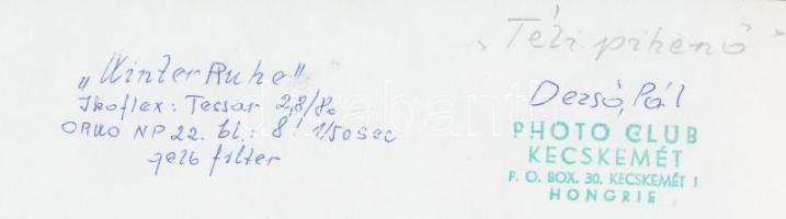 cca 1960 Dezső Pál (Kecskemét): Téli pihenő, a szerző által feliratozott vintage fotóművészeti alkot...