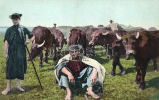 Hortobágy, ökör pásztor (EK)