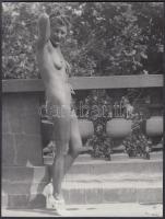 cca 1930 Női napozónak sejtelmes titkai, 2 db finoman erotikus fénykép, 18x24 cm /
cca 1930 2 erotic...