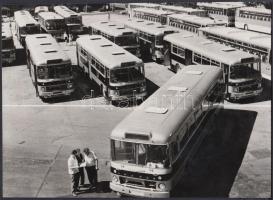 cca 1970 Az Ikarus által gyártott buszok a Budapesti Közlekedési Vállalat számára, 17x23 cm