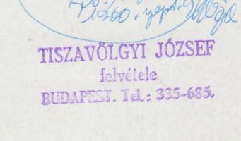 1960. szeptember 9. Tiszavölgyi József felvétele a MALÉV által elnyert vándorzászló átvételéről, hát...