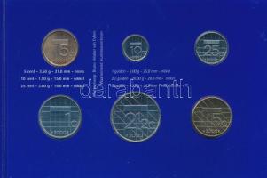 Hollandia 2000. 5c-5G "Beatrix" (6xklf) millenniumi forgalmi sor dísztokban T:1 Netherlands 2000. 5 Cent - 5 Gulden "Beatrix" (6xdiff) Millennium coin set in paper case C:UNC