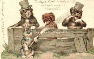 Dogs and cat, sprinkling, Emb. litho