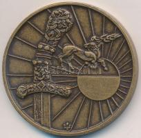 1993. "Magyarok népvándorlása és honfoglalása - Attila" bronzozott Cu emlékérem számozott ...