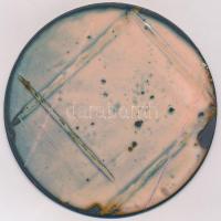 1989. "BM Rendőrtiszthelyettes-képző Iskola Csopak - Az alapítás emlékére" zománcozott fém...