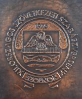 1975. "XII. Országos Szövetkezeti Szabász Verseny Szolnok" Br plakett eredeti tokjában (11...