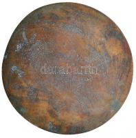 Bartos Endre (1930-) 1986. "Lajos Badeni Őrgróf" Br plakett (114mm) T:2