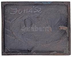 Tamás Ernő (1941-) DN "Juhász Gyula" Br plakett (108x87mm) T:2