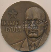 DN "Lengyel Gyula / A szocialista pénzügyek fejlesztéséért" Br plakett (80mm) T:1-,2