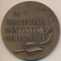 DN "Lengyel Gyula / A szocialista pénzügyek fejlesztéséért" Br plakett (80mm) T:1-,2