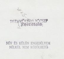 1957. augusztus 11. Tiszavölgyi József riportfelvétele egy tornász bemutatóról, pecséttel jelzett, 1...