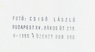 cca 1980 Csigó László: Bocik a legelőn, pecséttel jelzett fotó, 20,5x14 cm