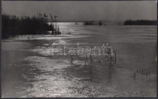 cca 1975 Zsigri Oszkár: Téli Balaton, jelzés nélküli tájkép a szerző hagyatékából, 15x24 cm