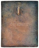 Tamás Ernő (1941-) DN "Móricz Zsigmond" Br plakett (100x82mm) T:2