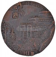 Józsa Lajos (1944-) DN "Budenz József Általános Iskola és Gimnázium / Gyermekeinkért" Br p...