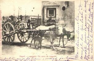 Naples, Napoli; Un carro da trasporto / chariot, folklore (fa)