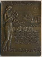 Ausztria DN "Schubert: A pisztráng - Steyr" fém dalos plakett. Szign.: F. Anders (59x40mm) T:2 Austria ND "Schubert: Die Forelle - Steyr" metal plaque. Sign.: F. Anders (59x40mm) C:XF