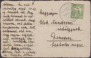 Fenyőháza, kertrészlet / garden, photo (EB)